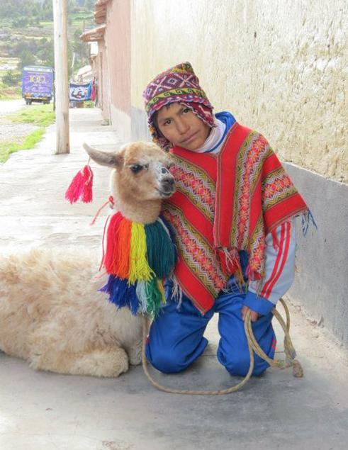 POST - Peru kid with lama