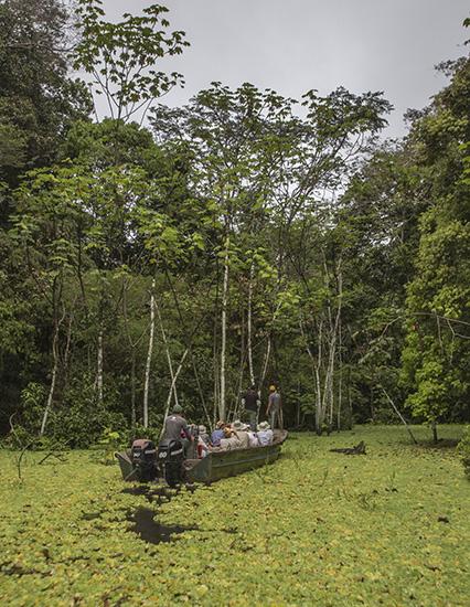 Peru Amazon River Skiff Excursion