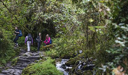Peru Inca Trail Day 2 Tropical Forest Greenery Stream Group Hiking