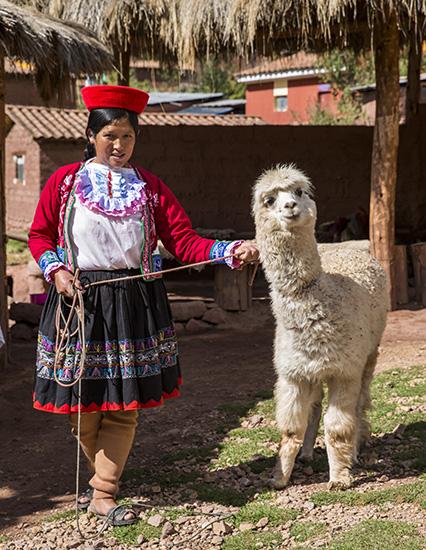 Peru Sacred Valley Women Weaving Co-Op Llama